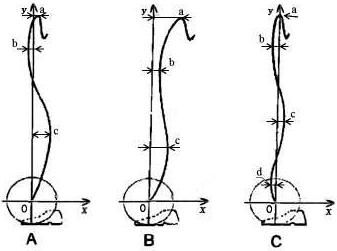 types-of-barbell-motion-trajectories.jpg